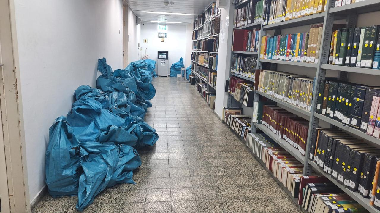 דילולים