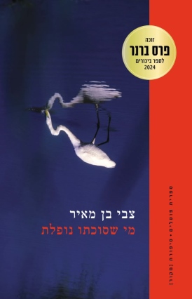 benMeir_Book