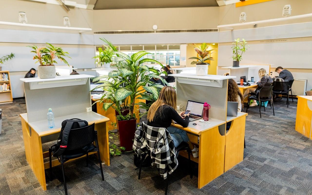Economics and Business Administration library