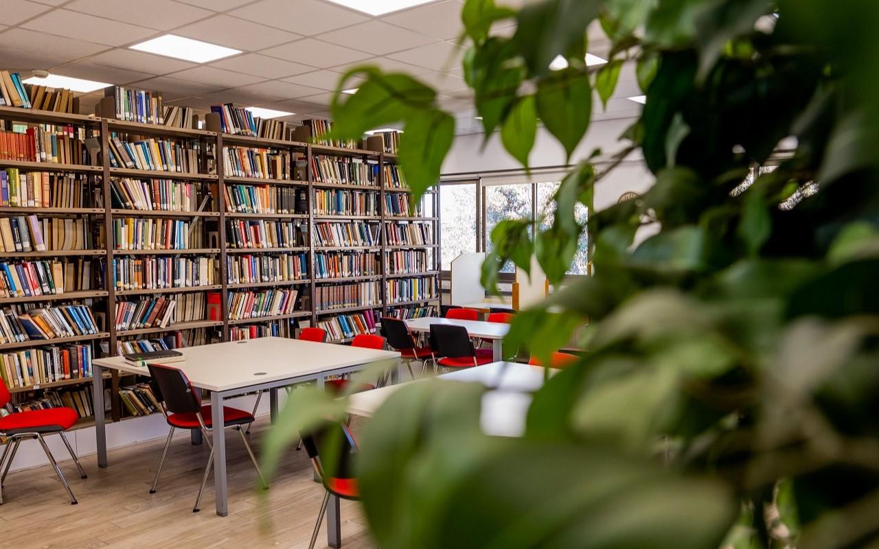 Literature and English Linguistics Library