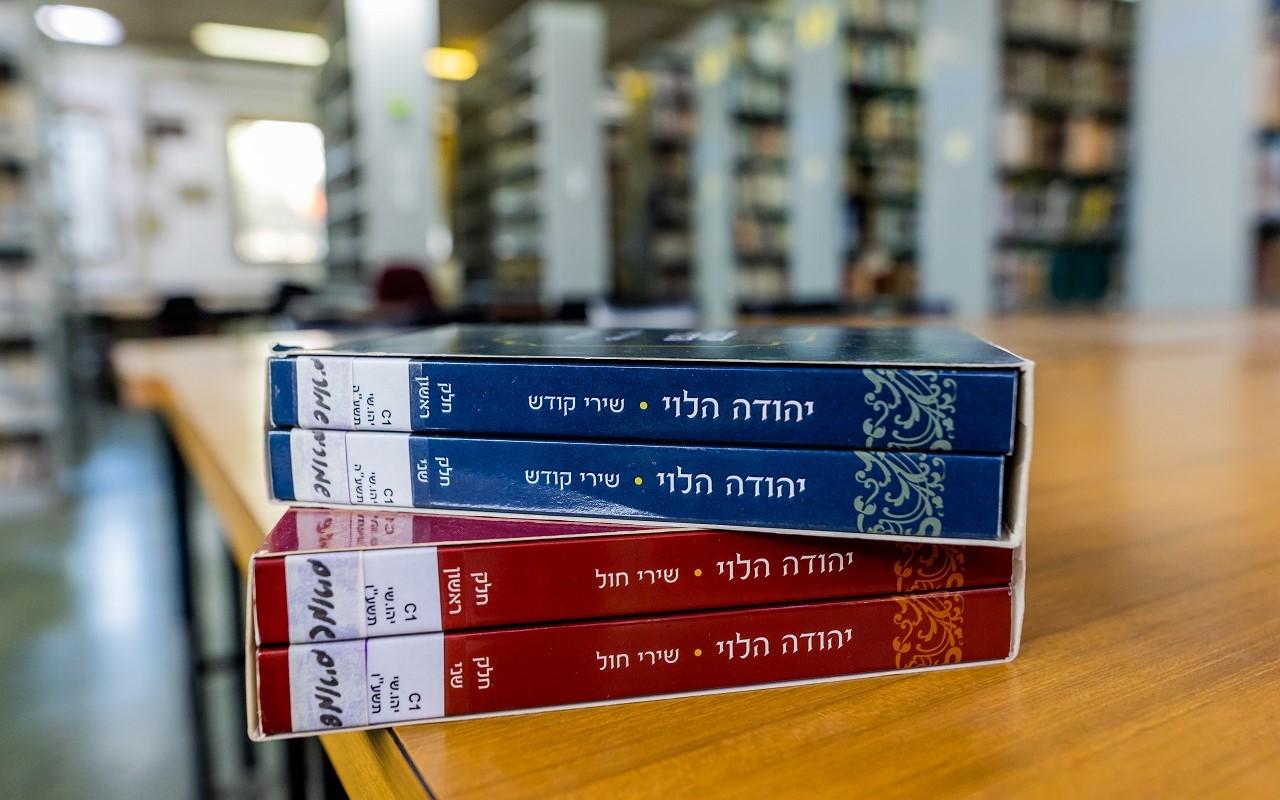 Literature and English Linguistics Library